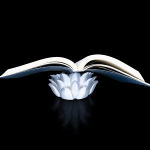 apoya libro flor loto